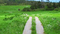 八幡沼付近散策路